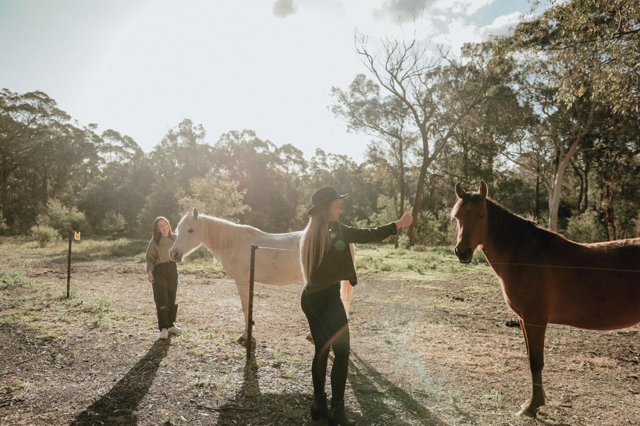 Hunter Valley Retreat