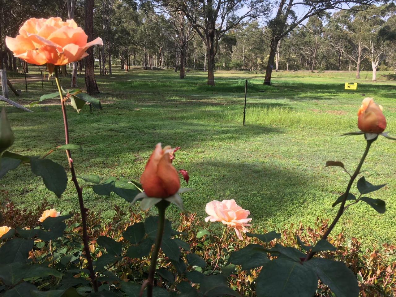 Hunter Valley Retreat 3*