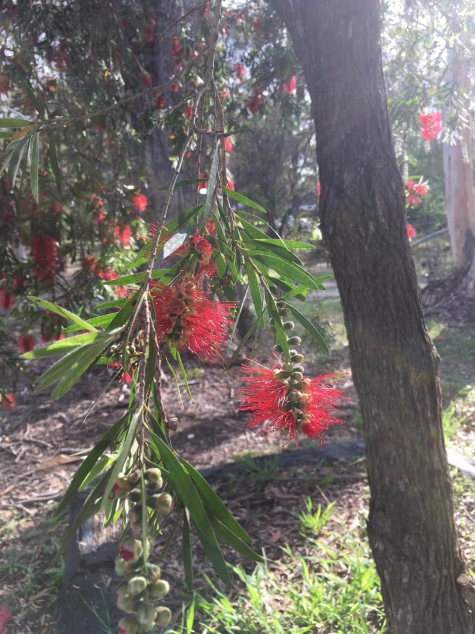 Hunter Valley Retreat Holiday park