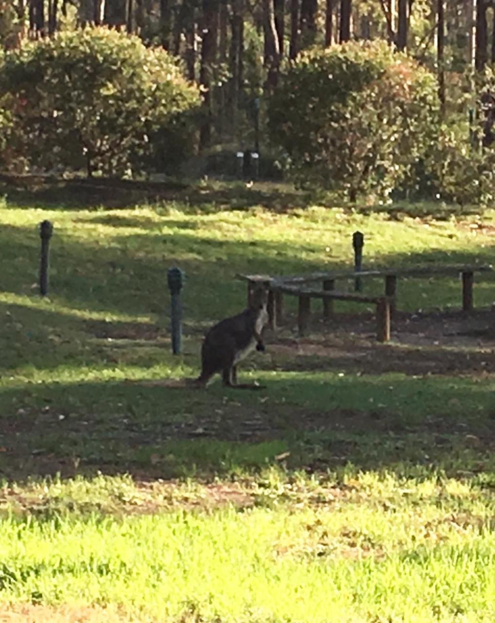 Holiday park Hunter Valley Retreat Quorrobolong