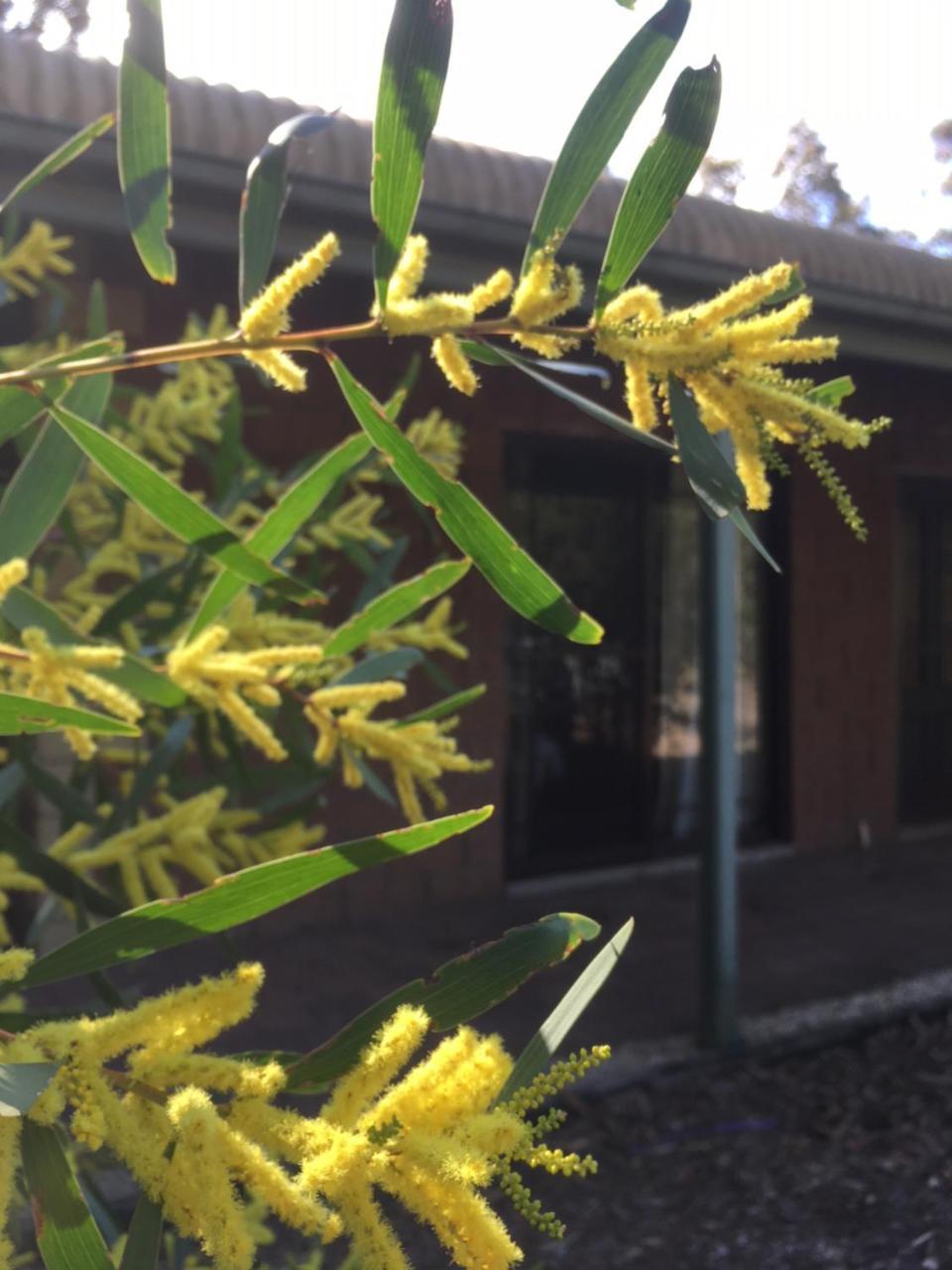 Hunter Valley Retreat 3* Quorrobolong