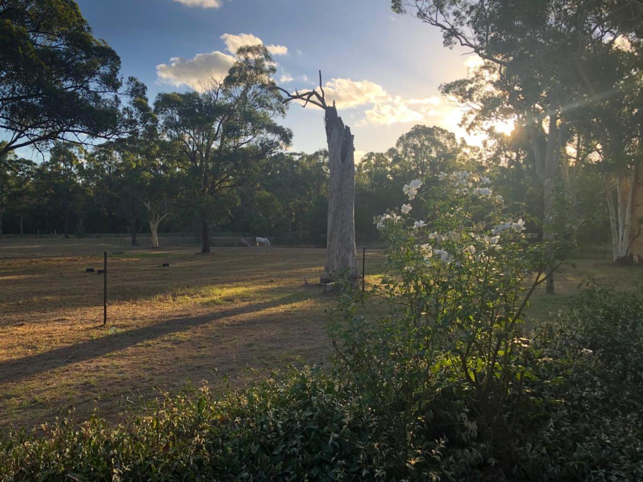 Holiday park Hunter Valley Retreat 3*
